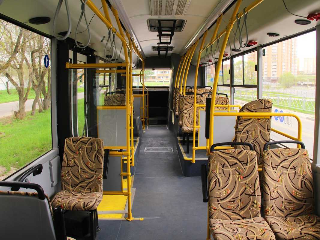 Новые автобусы маз-241s30 и маз-257 и социальная программа «школьный автобус»