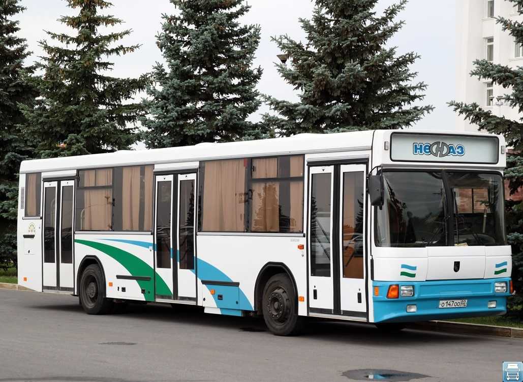 Автобусы НефАЗ-5299 для междугородных маршрутов: перечень технических характеристик и , фото и обзор