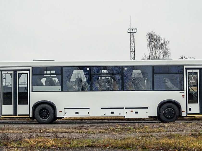 Новый низкопольный автобус глазами простого шофера: блогер 66.ru — о минусах и плюсах нефаза