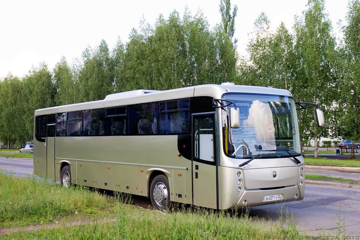 5299 нефаз: многочисленный модельный ряд автобусов