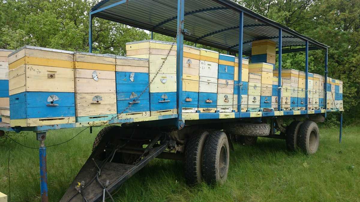 Прицеп для перевозки пчёл: плюсы и минусы, особенности, разновидности, фото
