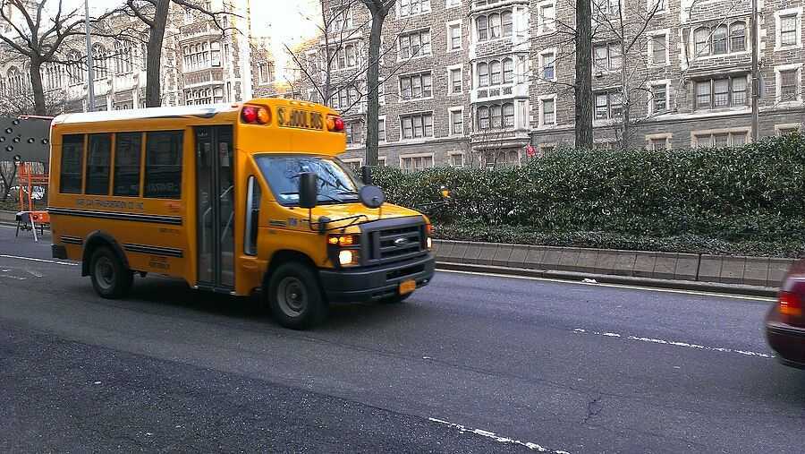 Перевозка детей в школьном автобусе 🦈 avtoshark.com