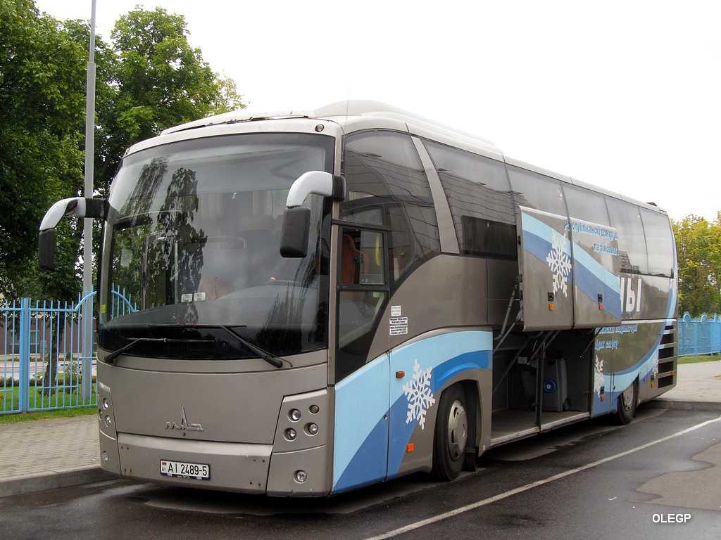 Маз-251 - туристический автобус