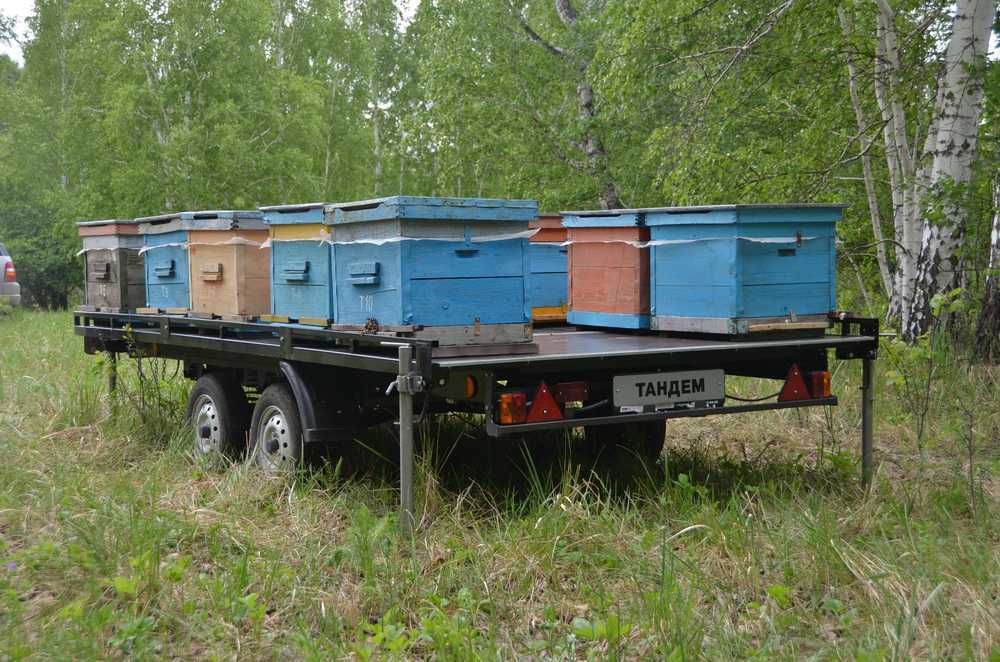 Делаем прицеп для перевозки пчёл своими руками